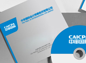 中審國際會(huì )計師事務(wù)所企業(yè)VI系統制作