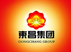 寧夏東昌實(shí)業(yè)集團VI設計