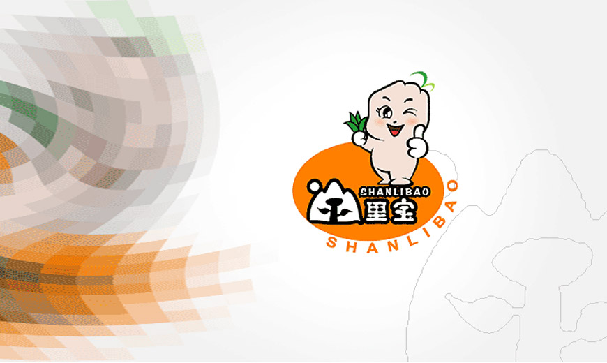 vi形象設計規范-煙臺山里寶企業(yè)品牌LOGO設計