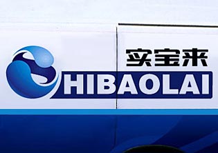 北京實(shí)寶來(lái)游樂(lè )設備公司VI設計系統