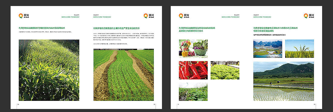 祺興生物公司高檔畫(huà)冊設計-5