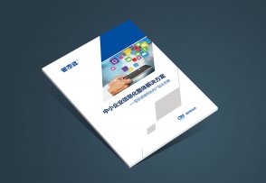 成都畫(huà)冊_任我行軟件企業(yè)宣傳冊