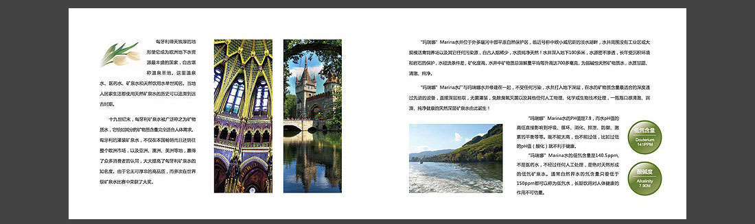 低氘礦泉水宣傳圖冊_匈牙利品牌畫(huà)冊-5