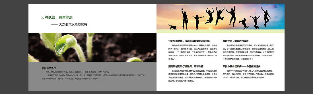 低氘礦泉水宣傳圖冊_匈牙利品牌畫(huà)冊-8