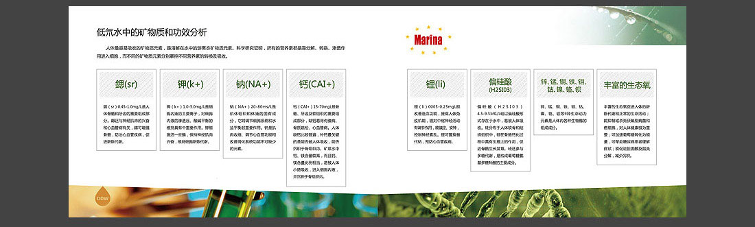 低氘礦泉水宣傳圖冊_匈牙利品牌畫(huà)冊-10
