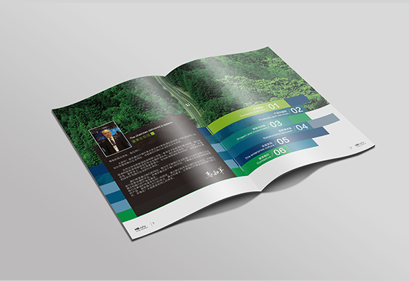 大連百力特開(kāi)發(fā)礦山畫(huà)冊設計-2