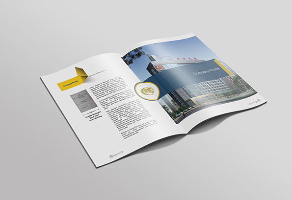 大連百力特開(kāi)發(fā)礦山畫(huà)冊設計-3