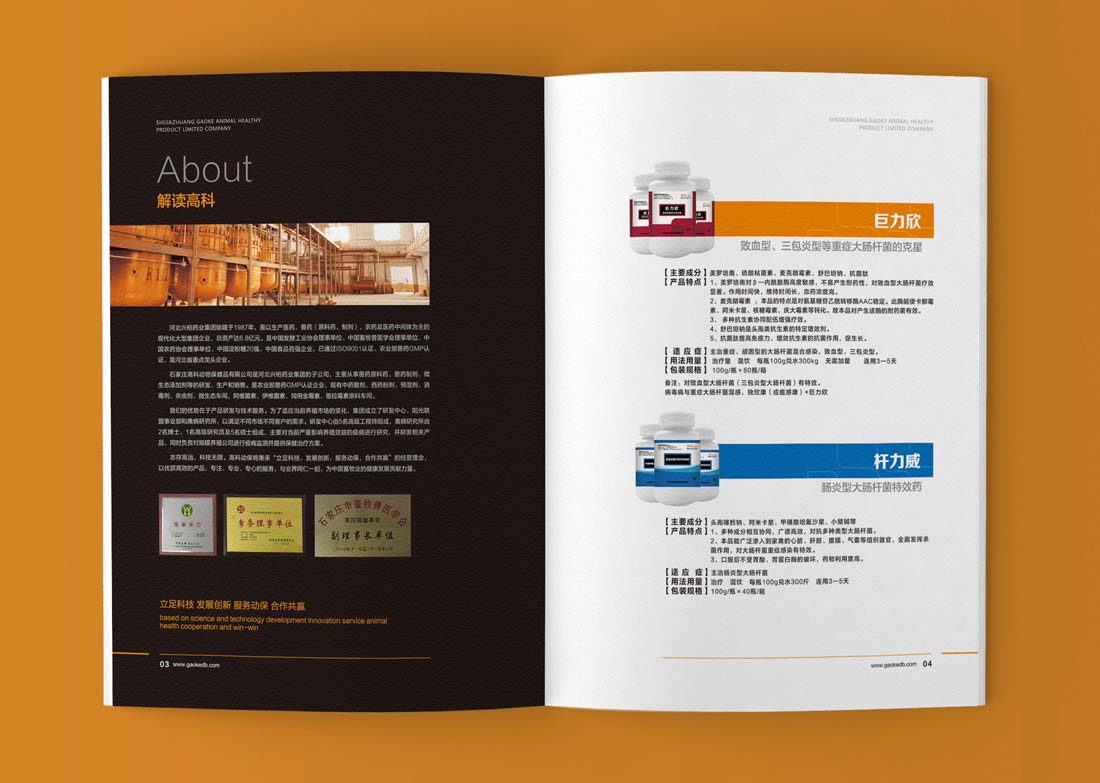 大連貝博士動(dòng)物保健品公司畫(huà)冊設計-2